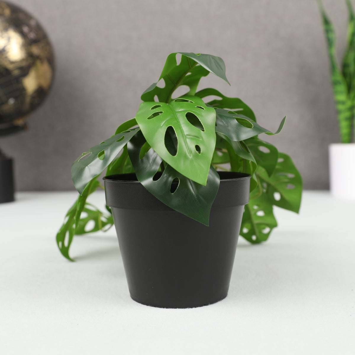 Ilana Hanging Monstera Potted Plant 37cm in Green