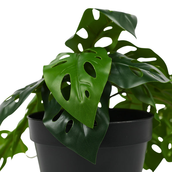 Ilana Hanging Monstera Potted Plant in Green dimensions