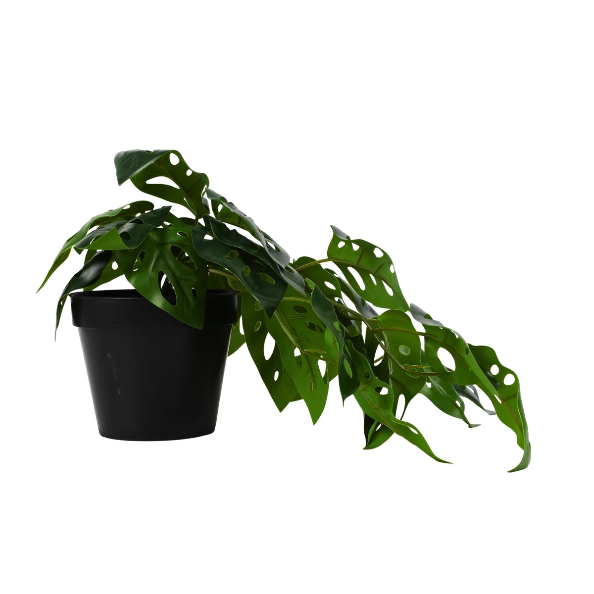 Ilana Hanging Monstera Potted Plant 37cm in Green