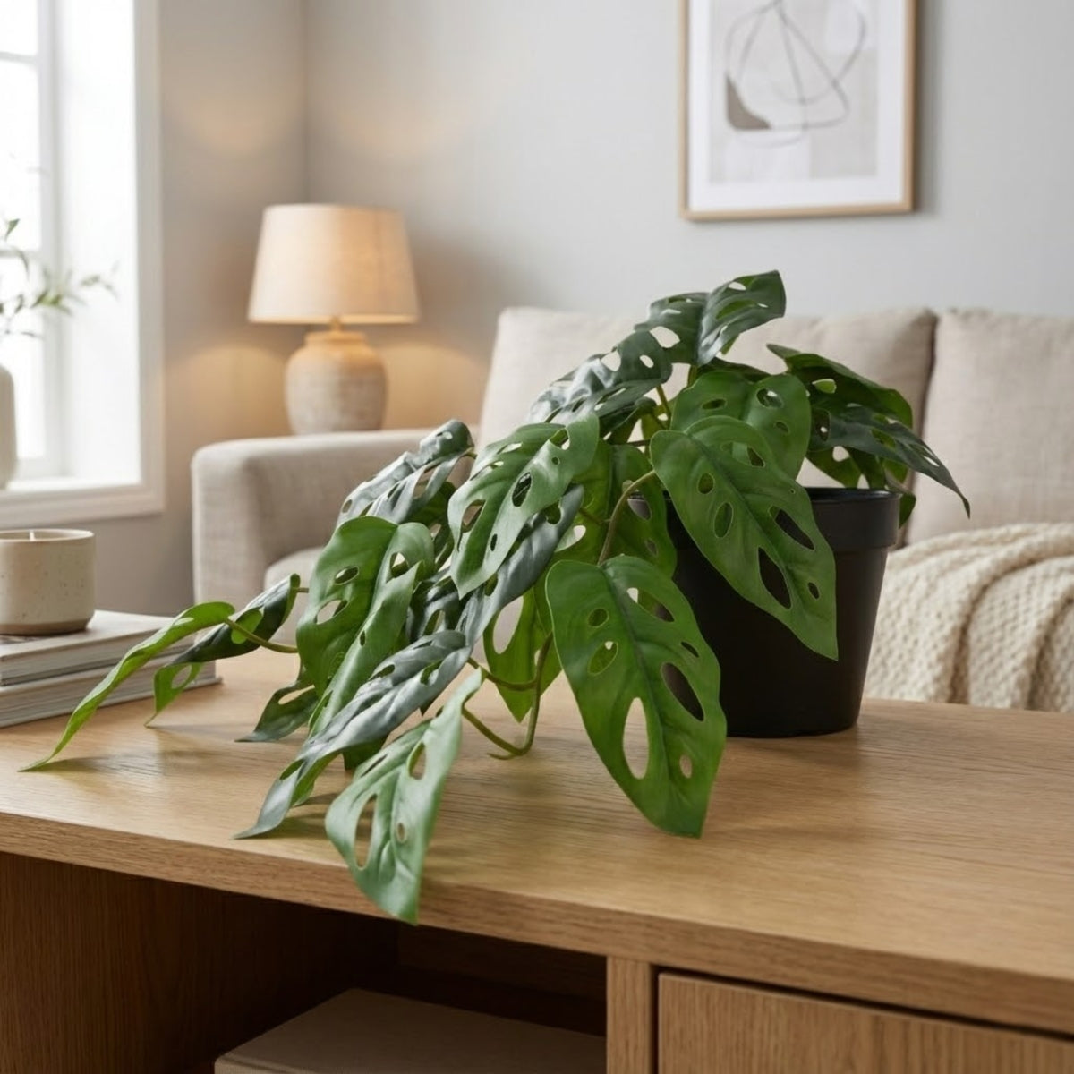 Ilana Hanging Monstera Potted Plant 37cm in Green