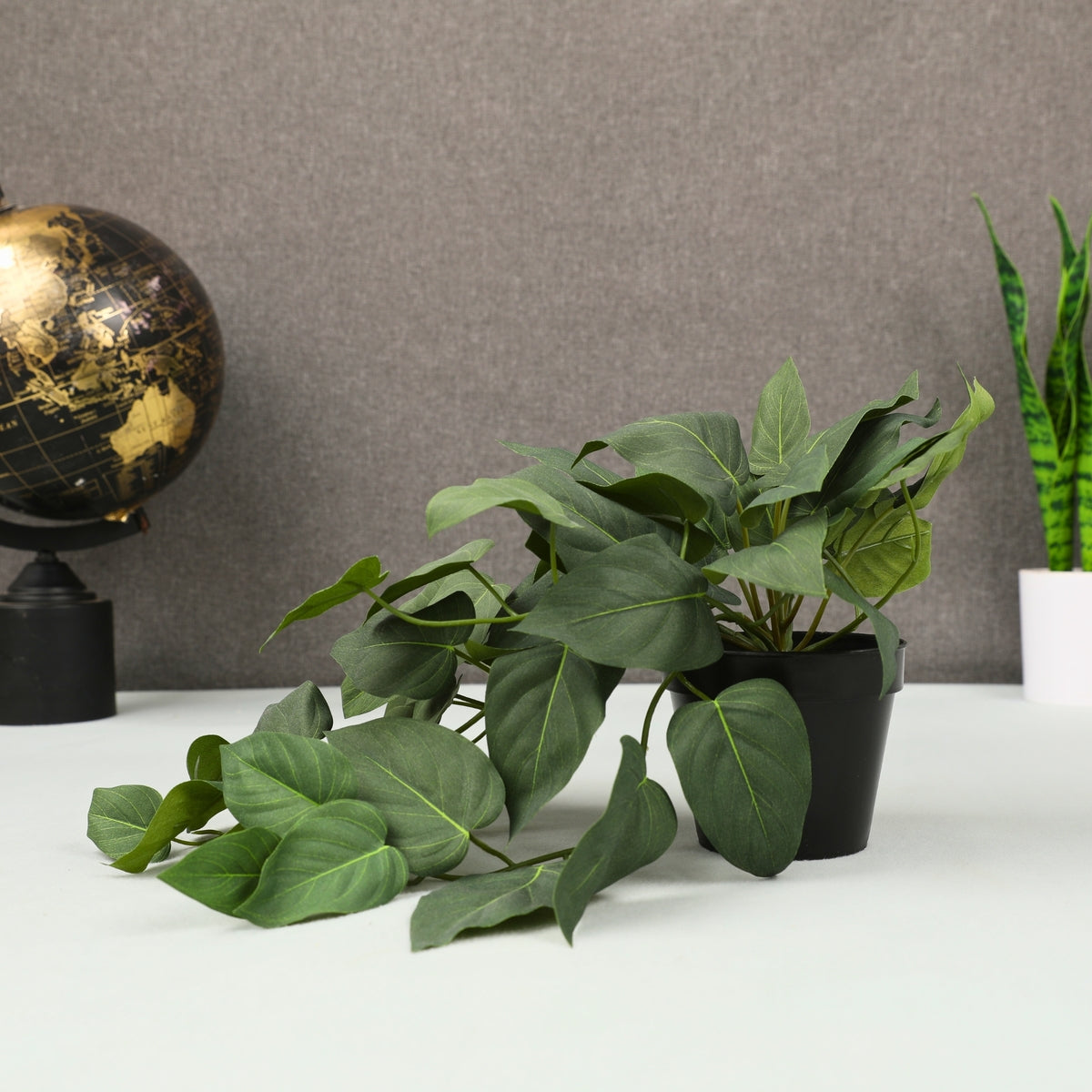 Ilana Hanging Philodendron Potted Plant 43cm in Purple