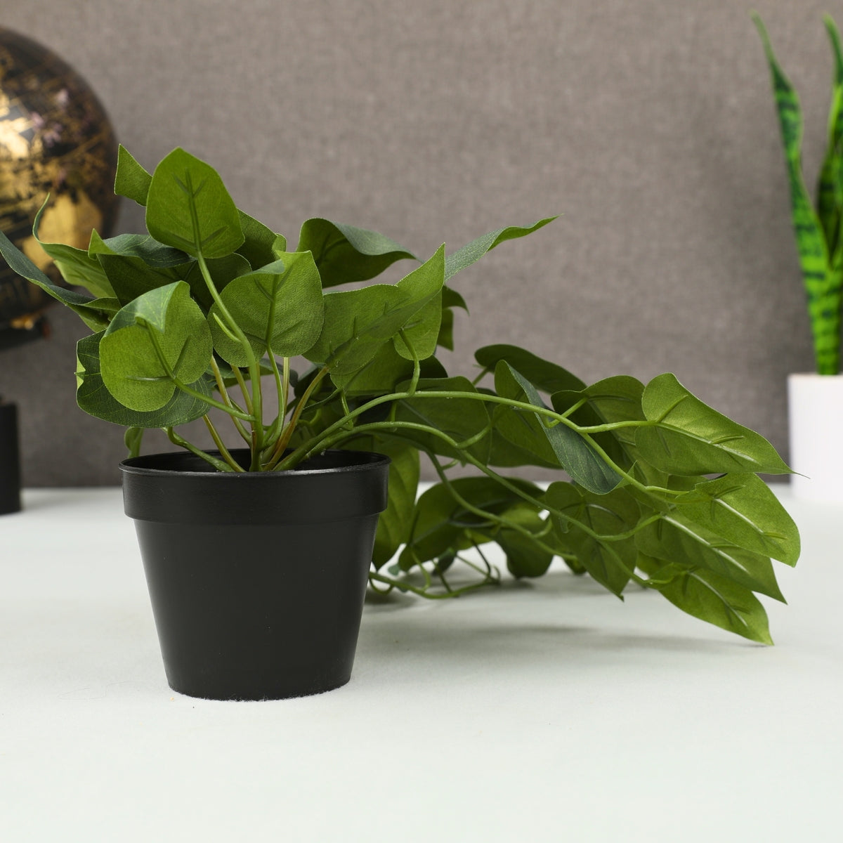 Ilana Hanging Philodendron Potted Plant 43cm in Purple