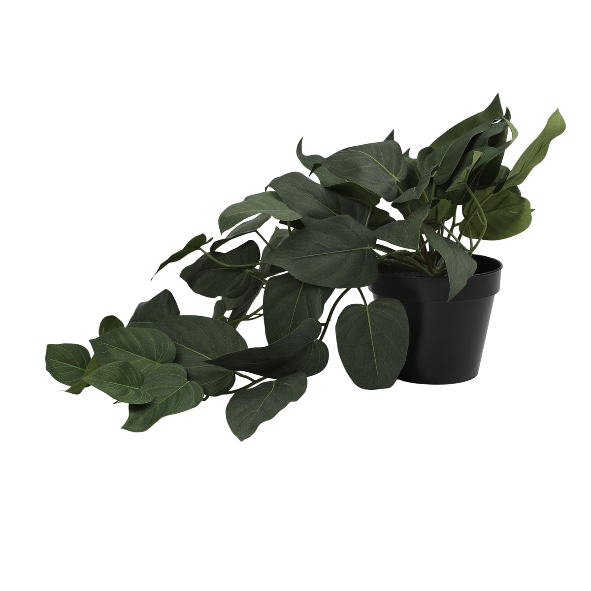 Ilana Hanging Philodendron Potted Plant 43cm in Purple