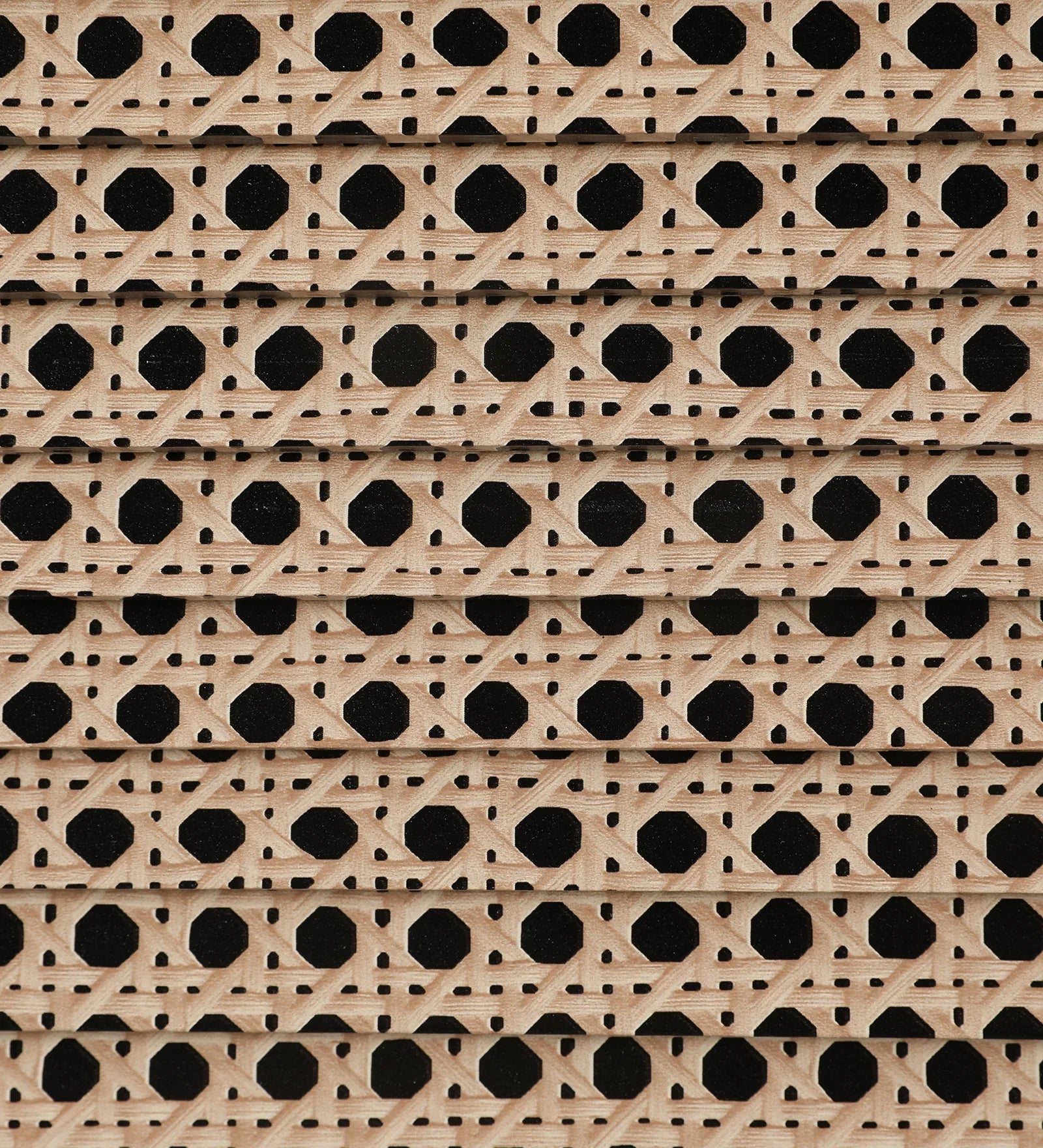 Kaira 2 Door Shoe Rack in Walnut & White Colour - HomeTown