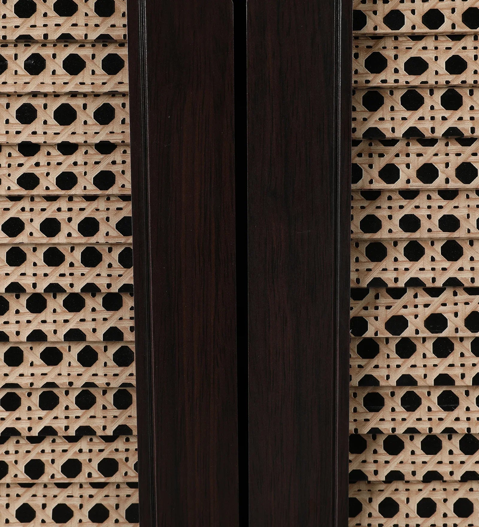 Kaira 2 Door Shoe Rack in Walnut & White Colour - HomeTown