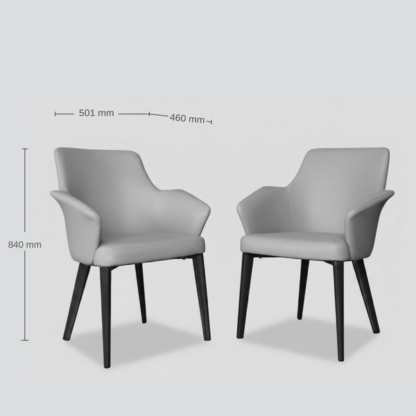 Asteria Dining Chair Set of 2 Grey dimensions