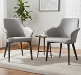 Asteria Dining Chair Set of 2 Grey