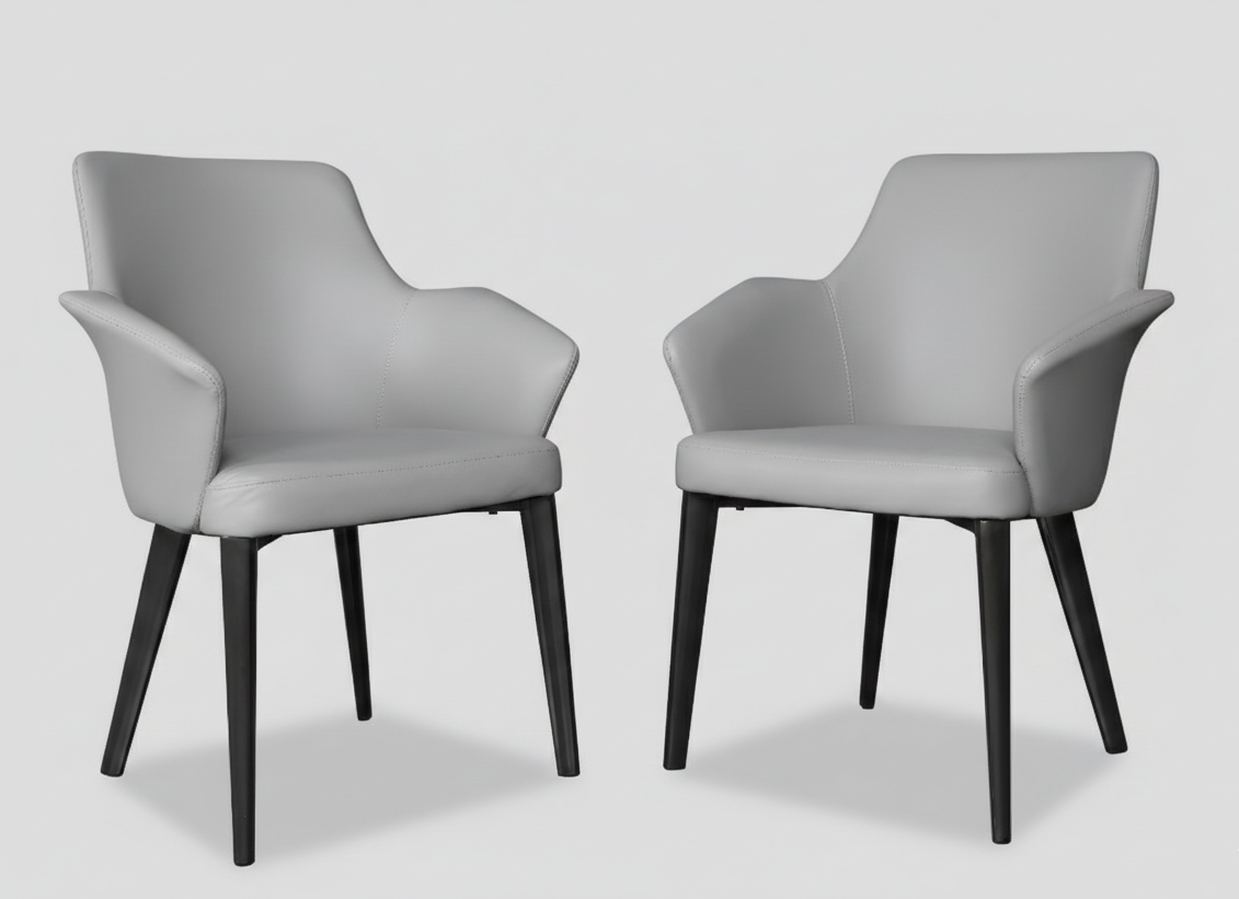ASTERIA DINNING CHAIR SET OF 2 GREY