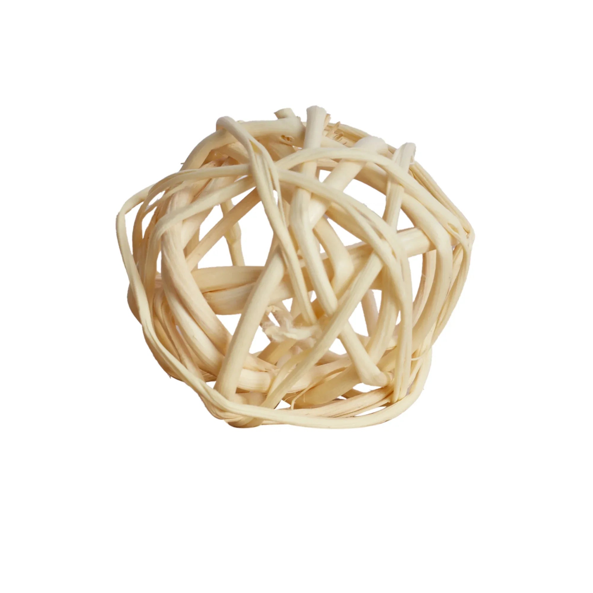 Fleur Natural Dried Filler Pouch 15 Cm in Brown Colour - HomeTown