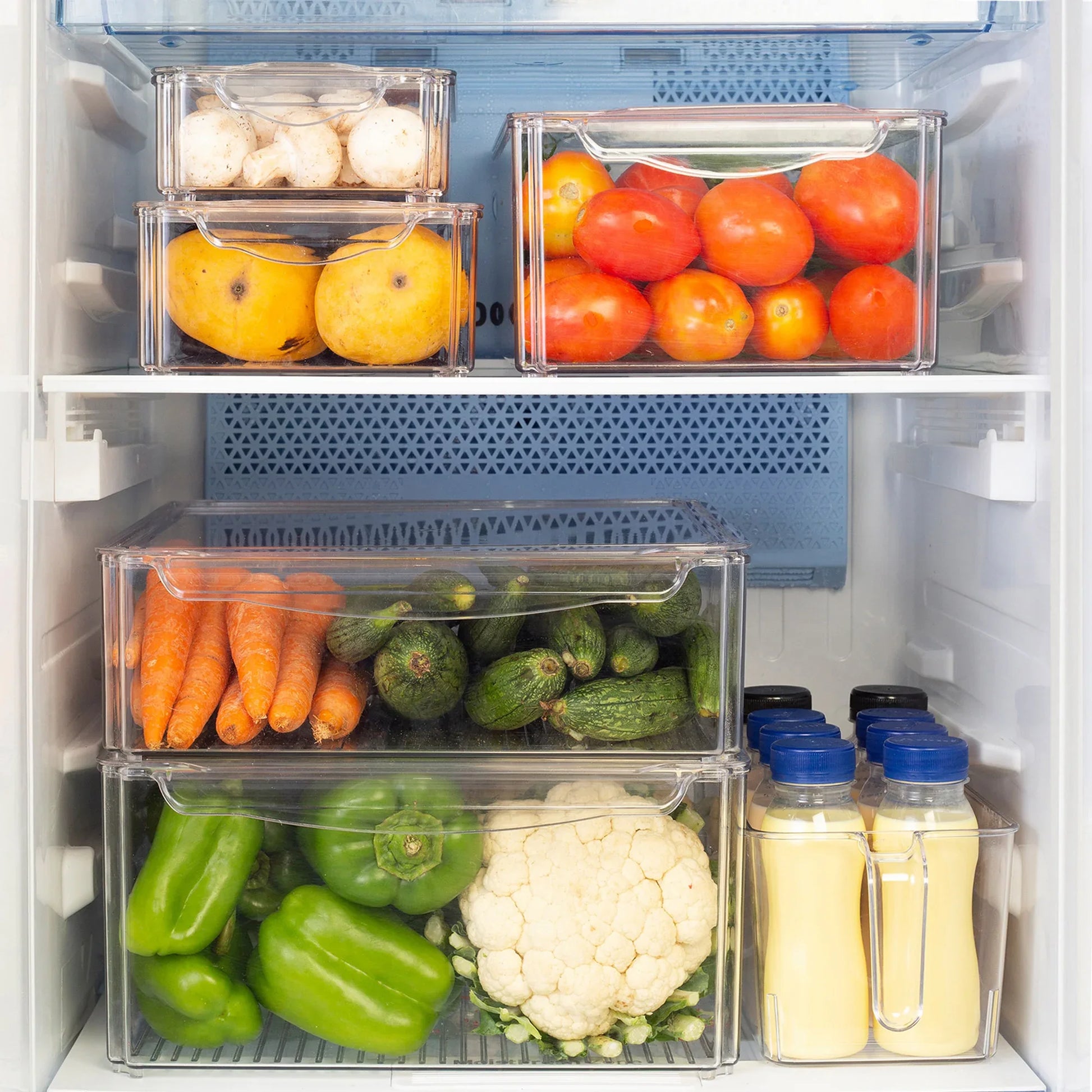 Robusto PET BPA Free Small Fridge Organizer with Front Handle in Transparent Colour - HomeTown