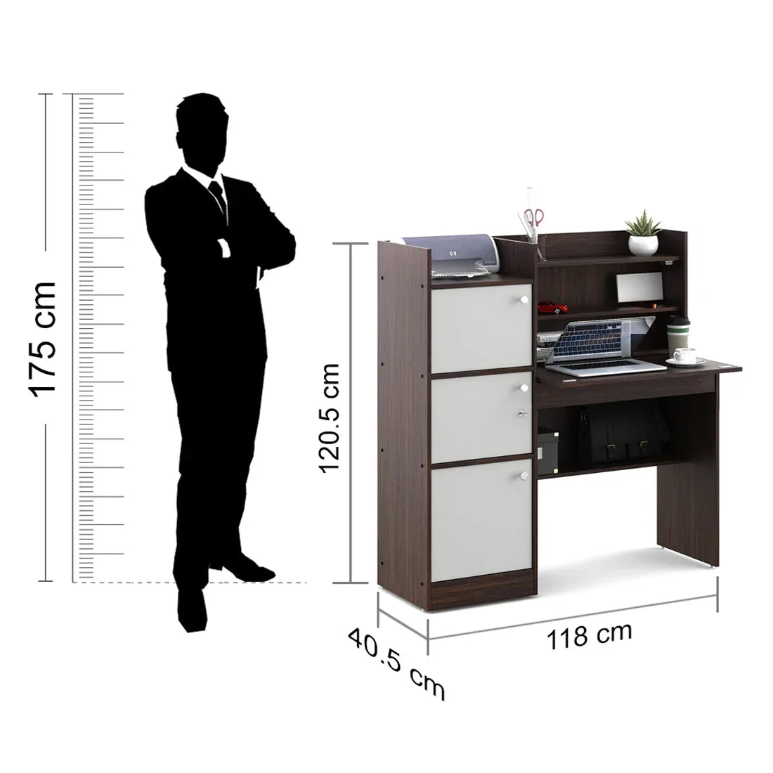 Venus Engineered Wood Study Table in Wenge & White Colour - HomeTown