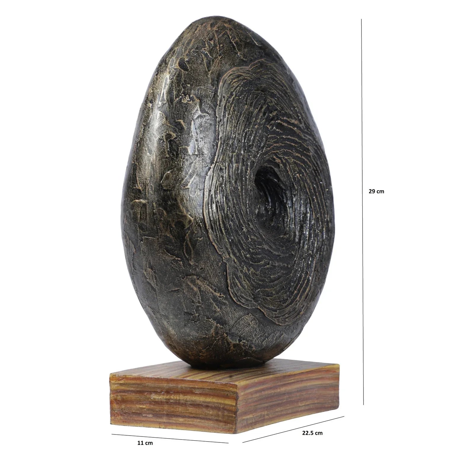 Calista Modern Abstract Showpiece 29cm in Black Gold - HomeTown