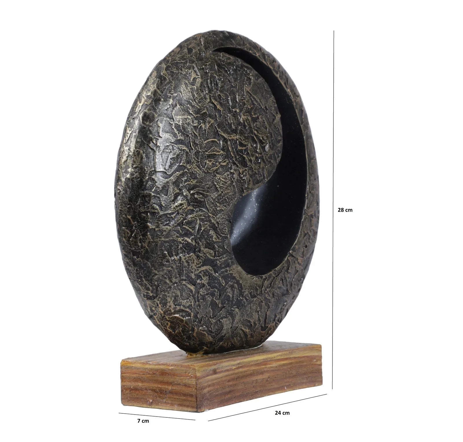 Calista Modern Abstract Showpiece 28cm in Black Gold Colour - HomeTown