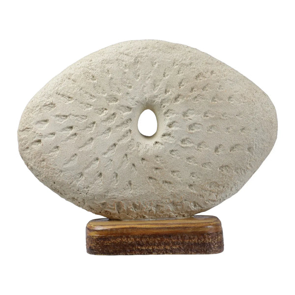 Calista Modern Abstract Showpiece 26cm in Ivory dimensions