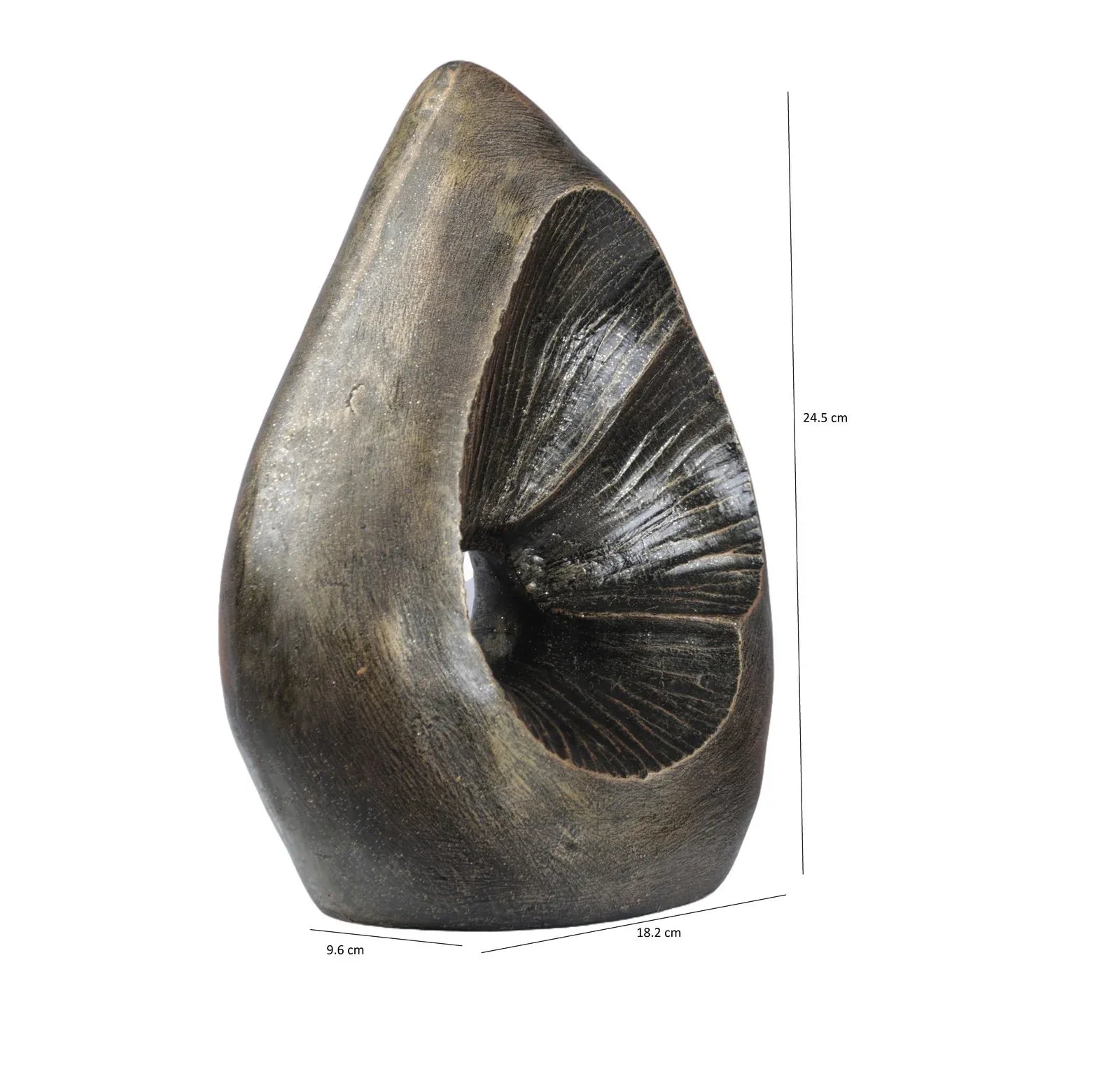 Calista Modern Abstract Showpiece 25cm in Black Gold - HomeTown