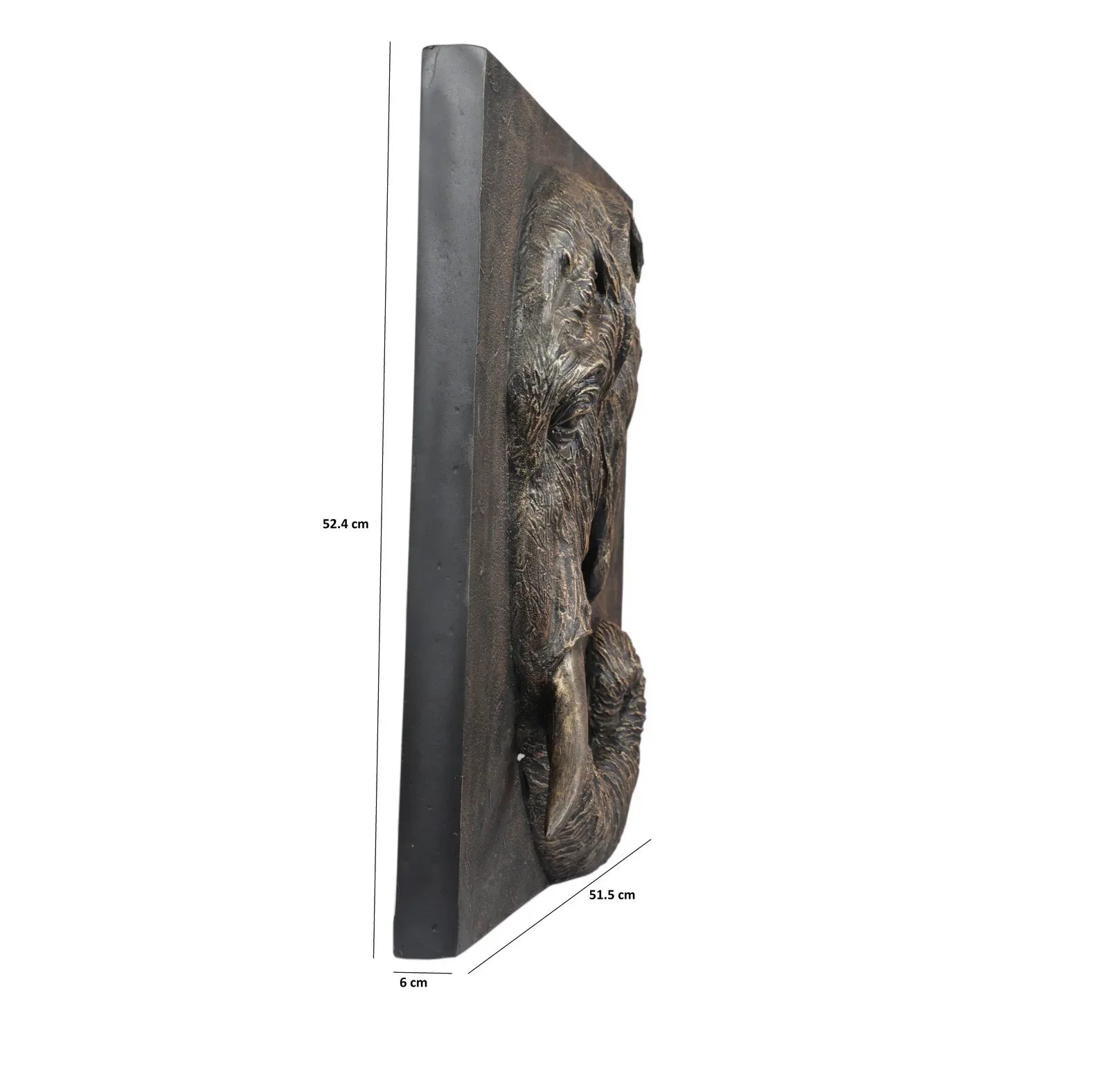 Calista Versatile Elephant Wall Accent 53cm in Black Gold - HomeTown