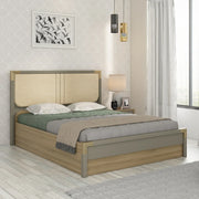 Asa Engineered Wood Queen Bed in Santana Oak Colour - HomeTown