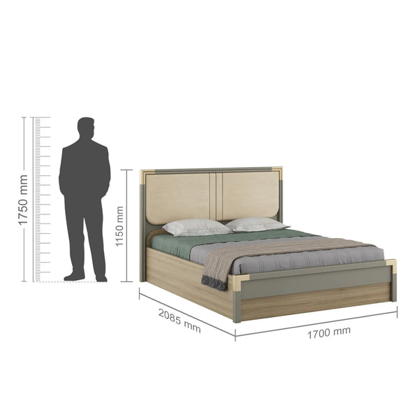 Asa Engineered Wood Queen Size Bed in Santana Oak Colour dimensions