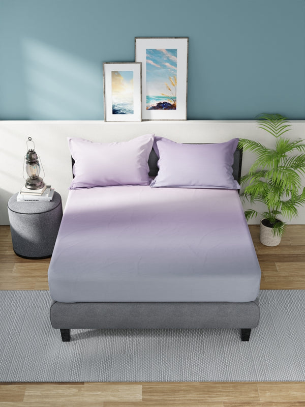 Bradford Sis-Bed Multicolor dimensions