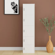 Albert Engineered Wood 5 Tier Cabinet in White Colour - HomeTown